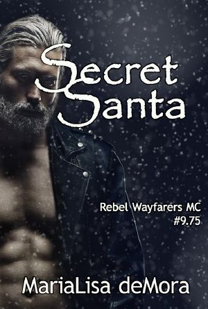 [Rebel Wayfarers MC 9.75] • Secret Santa
